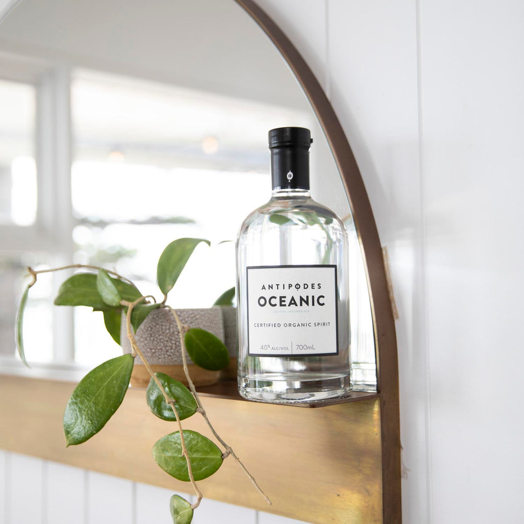 Bottle of Antipodes Oceanic on a shelf with a plant in the foreground