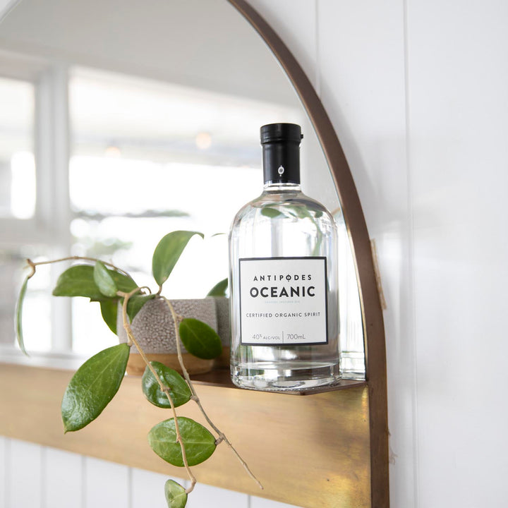 Bottle of Antipodes Oceanic on a shelf with a plant in the foreground